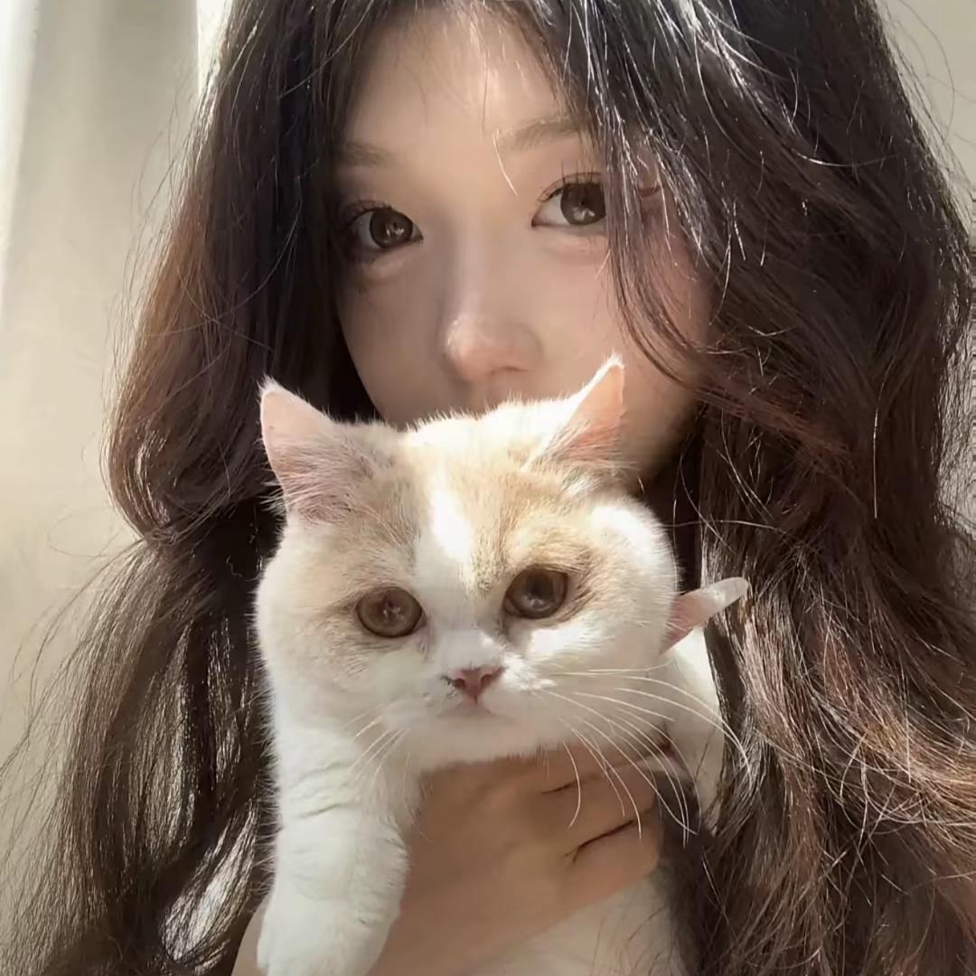 茉莉.
