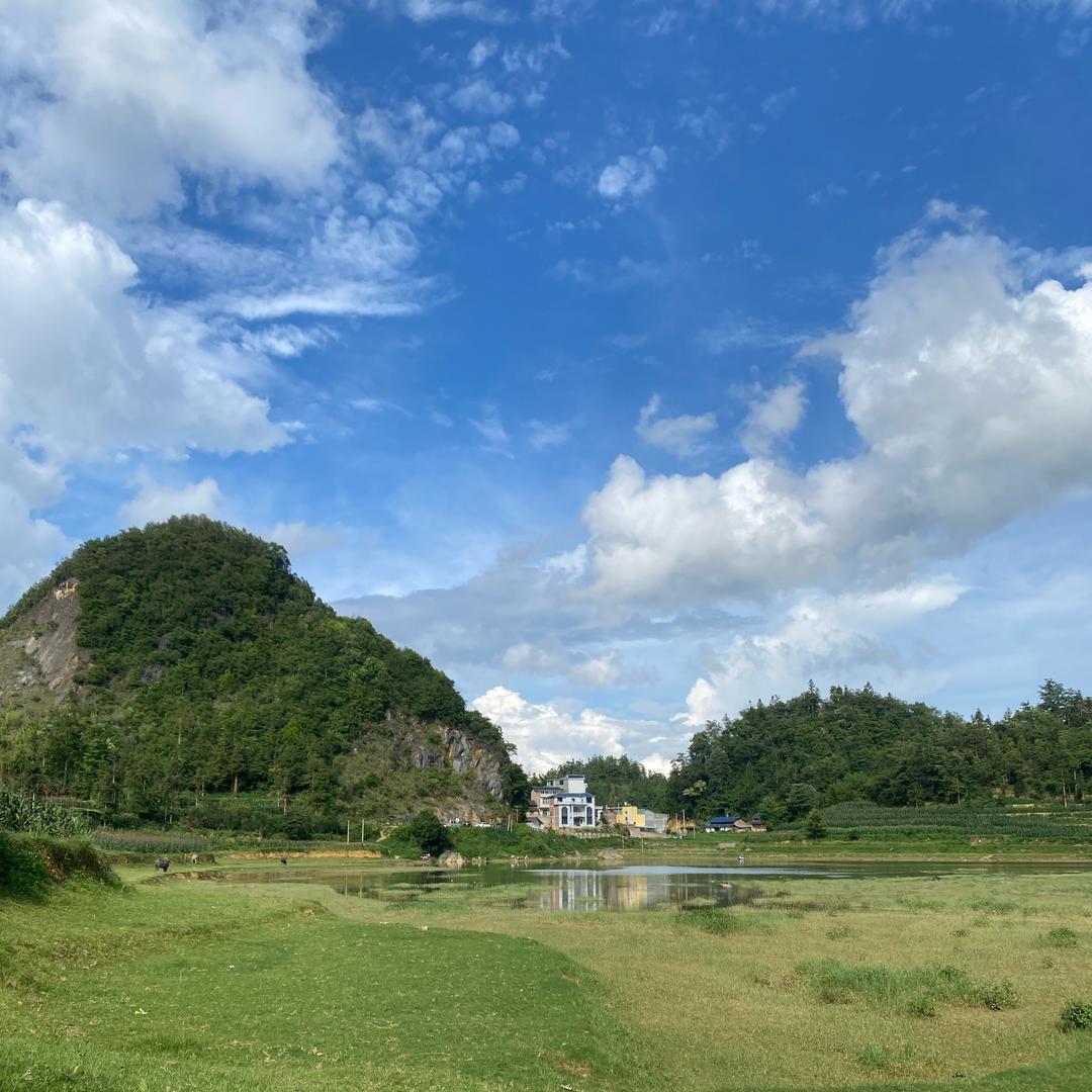 云南山卡卡