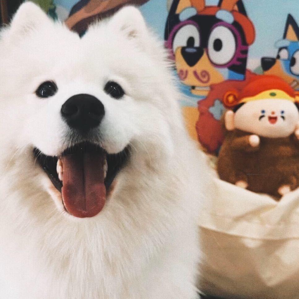 🌈等下一个日出