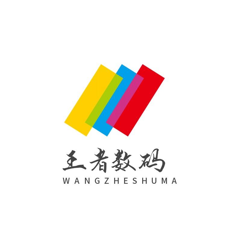 王者数码手机壳