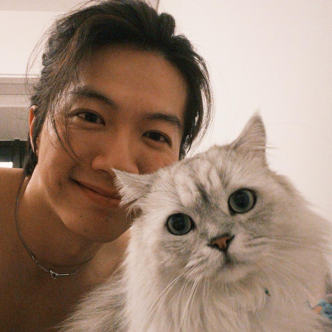 阿维