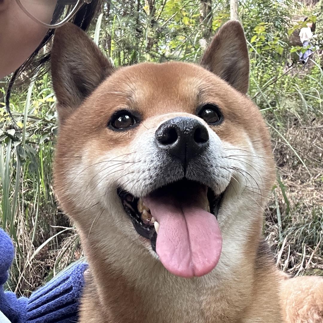 这样好
