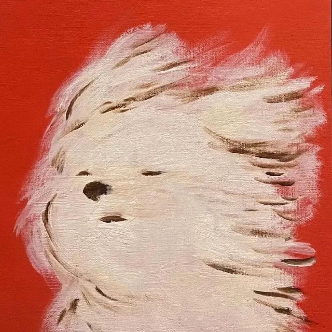 尚一亿