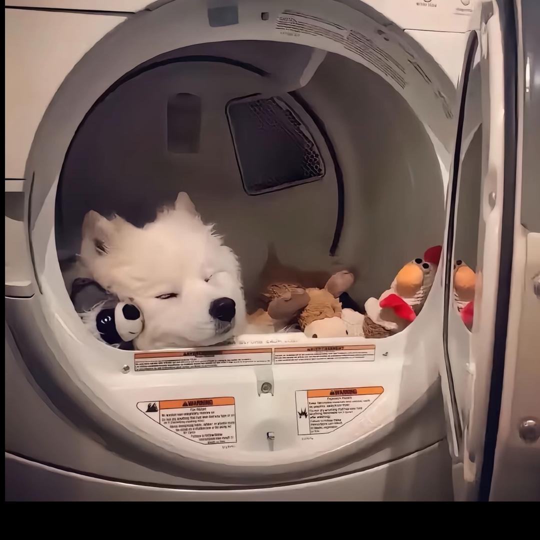 拉稀