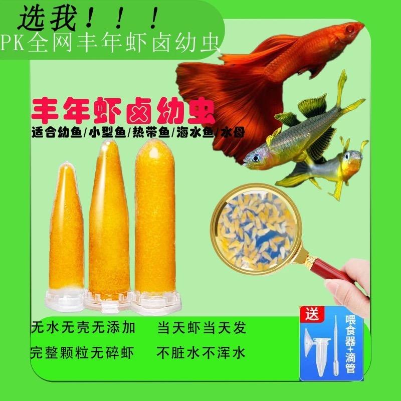 六妹丰年虾