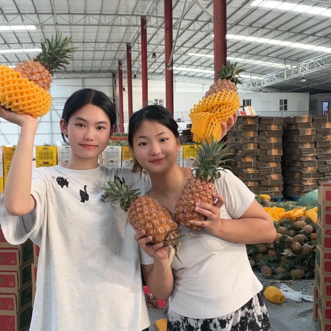 外婆花田企业店