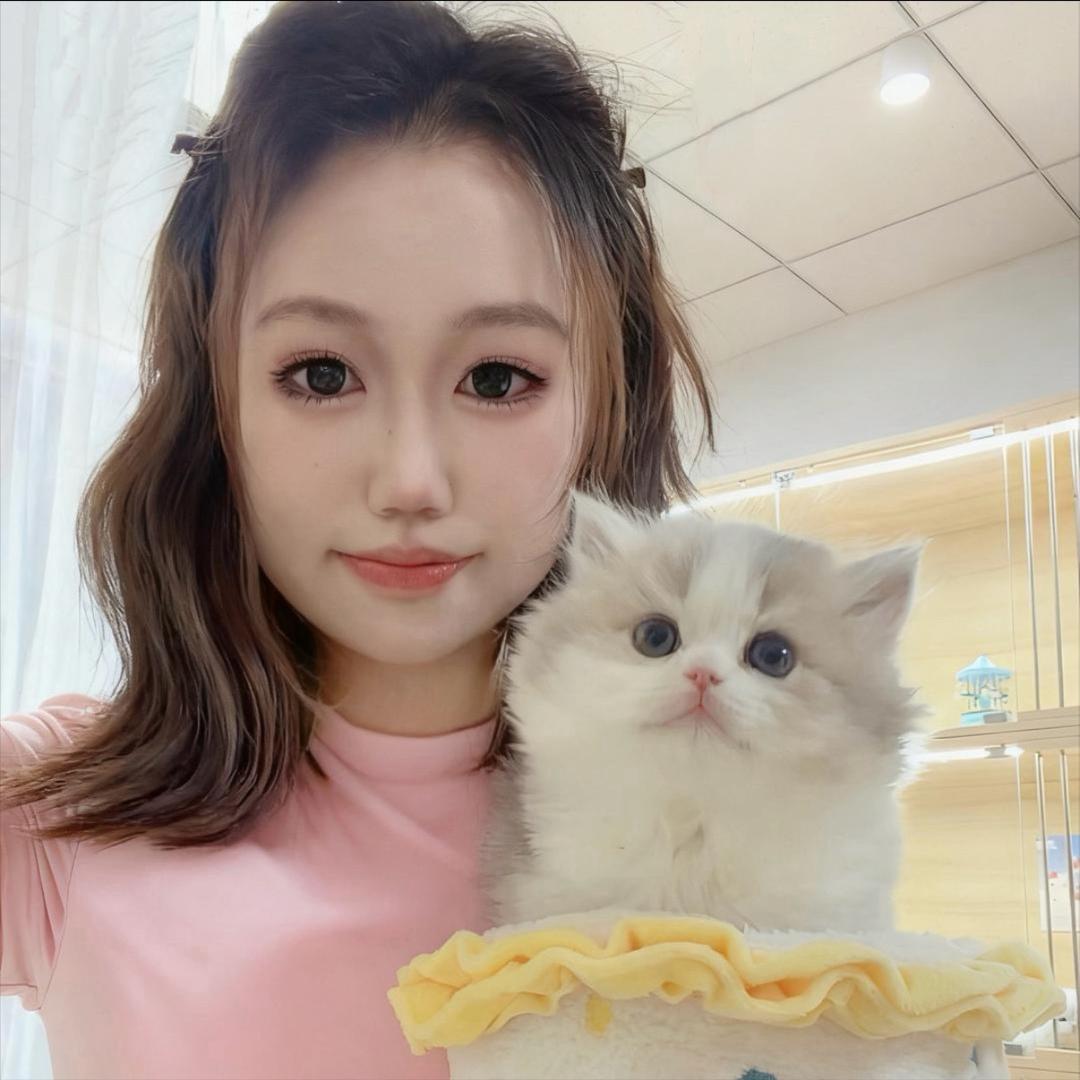 三三的猫🍓