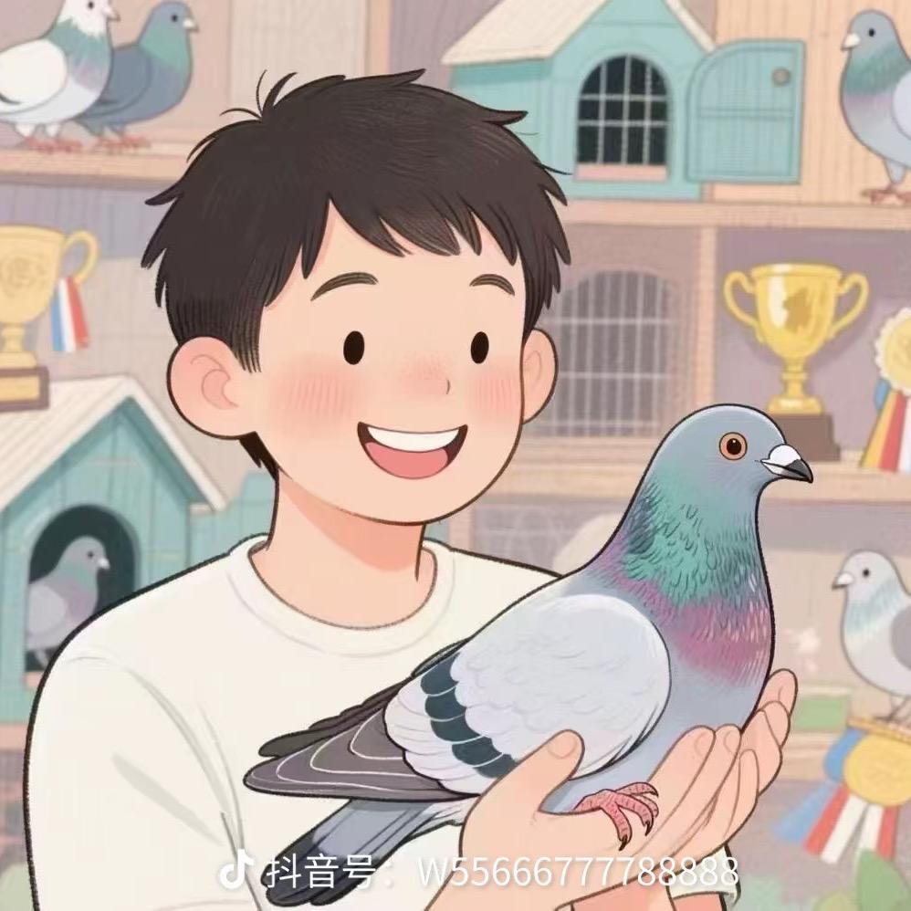轻语文书