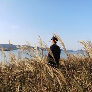 梦易醒
