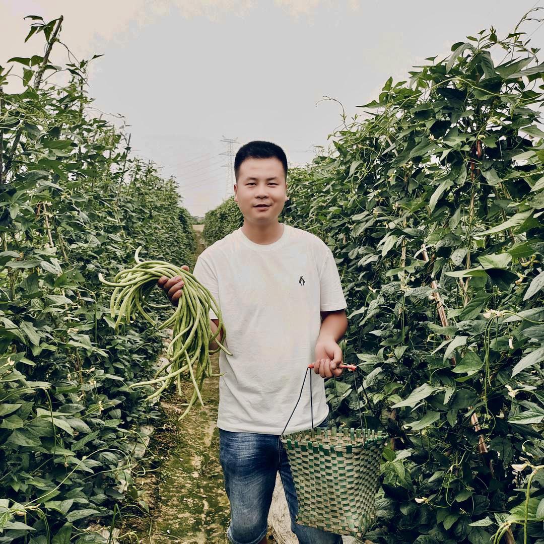 奇奇在农村