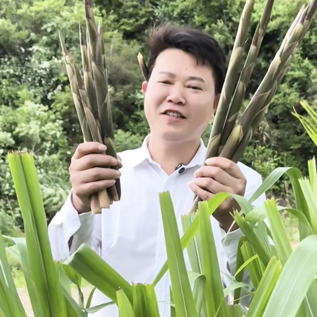 锋锋村长农产品