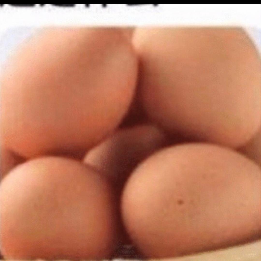 江边鸟（非洲大雀儿）