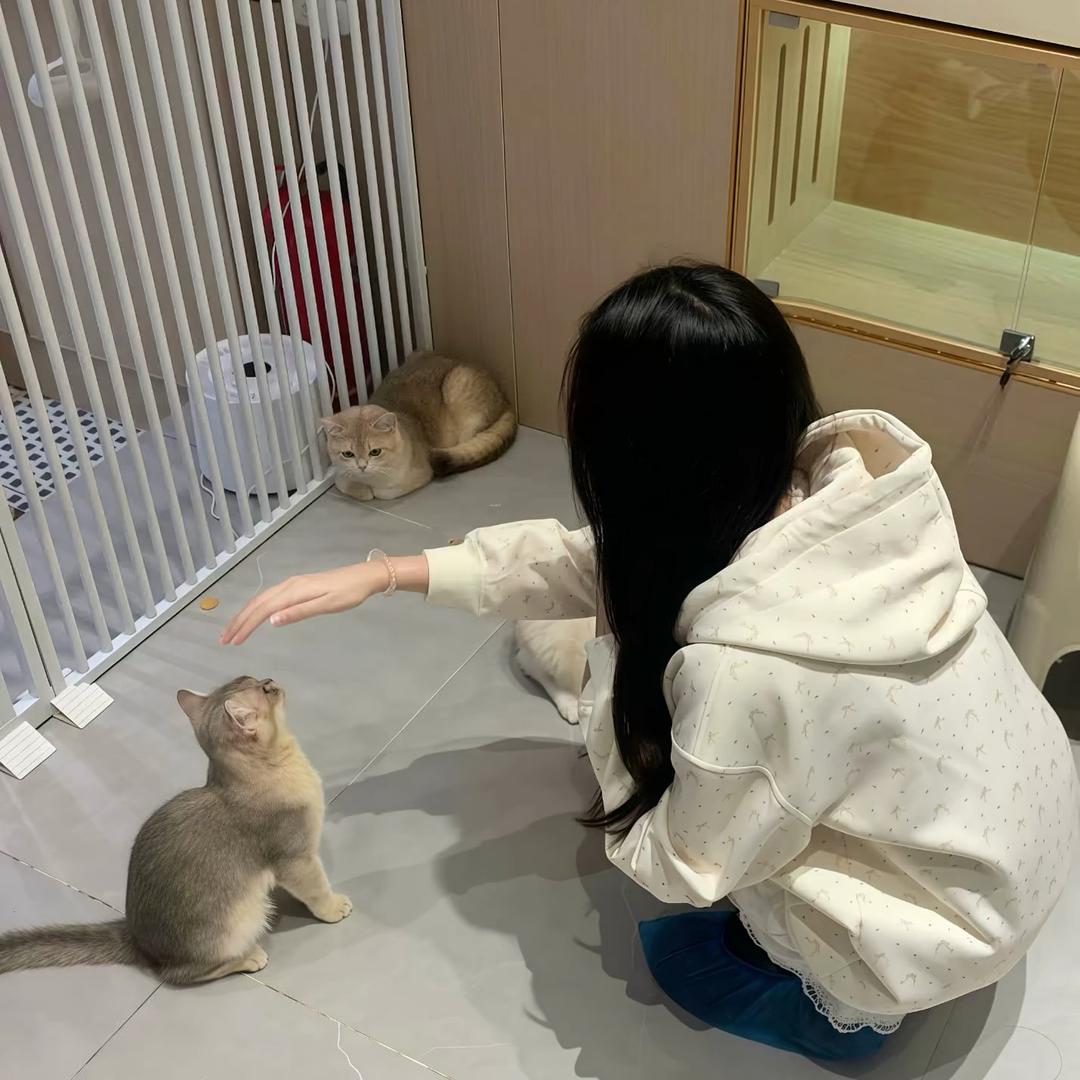 小7