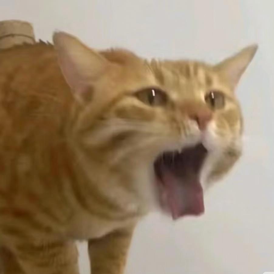 水瓶