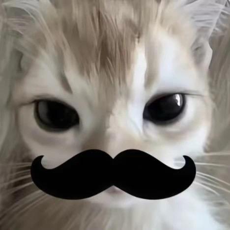 Y-