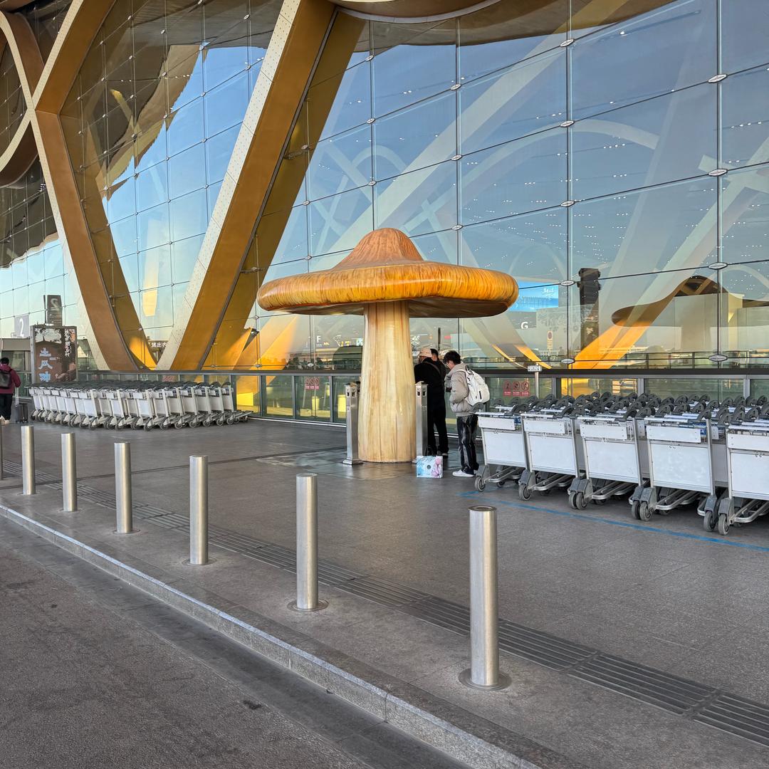 你硕哥永远是你大硕哥。