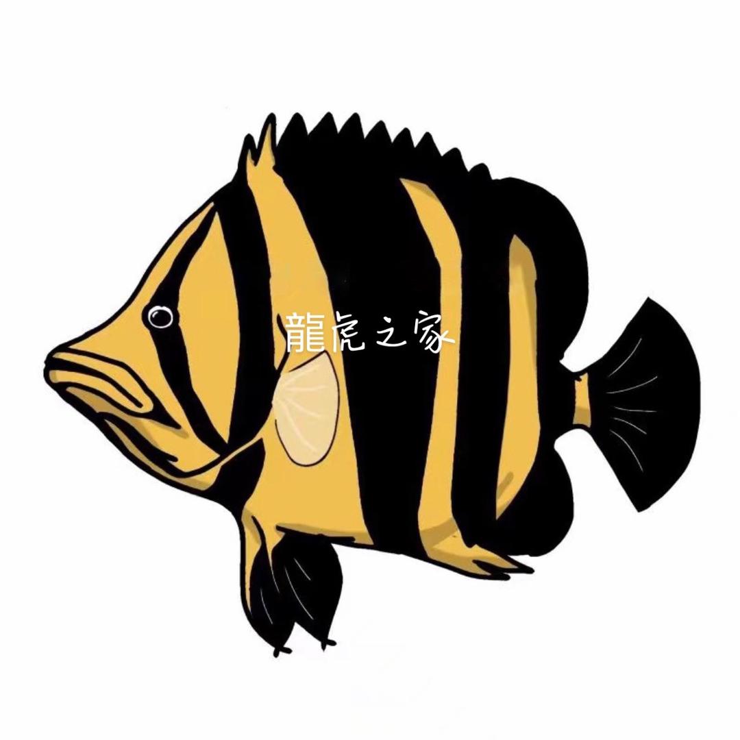 龍虎之家