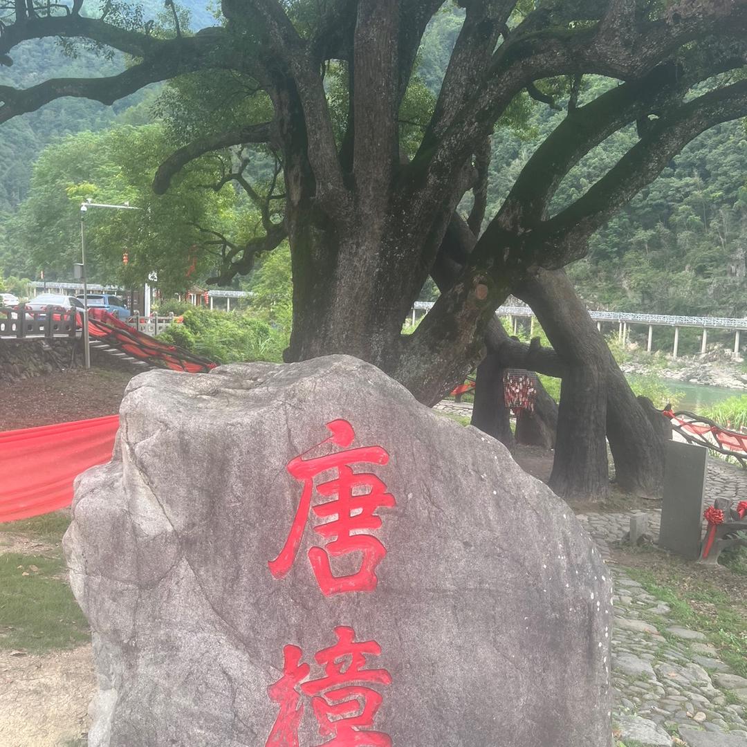 🇨🇳❤️，