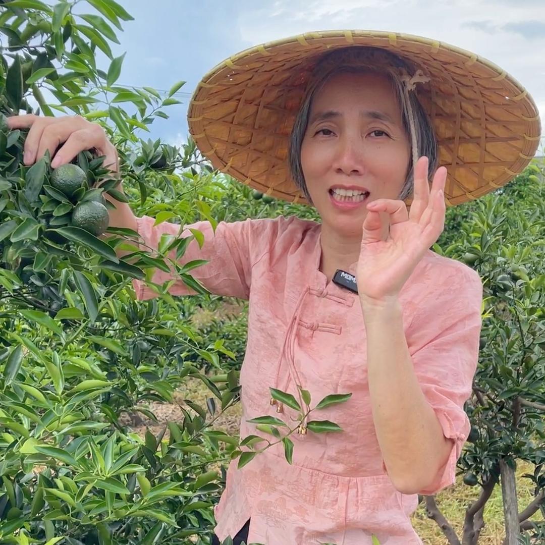 永合缘陈皮茶业
