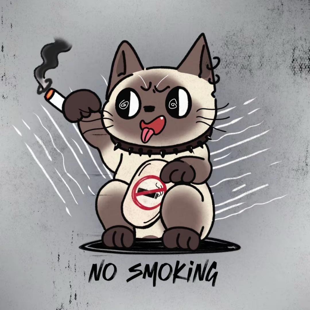 软萌hellokitty爆改肌肉大鲨鱼