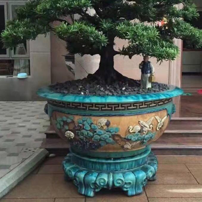 恒鑫石湾盆