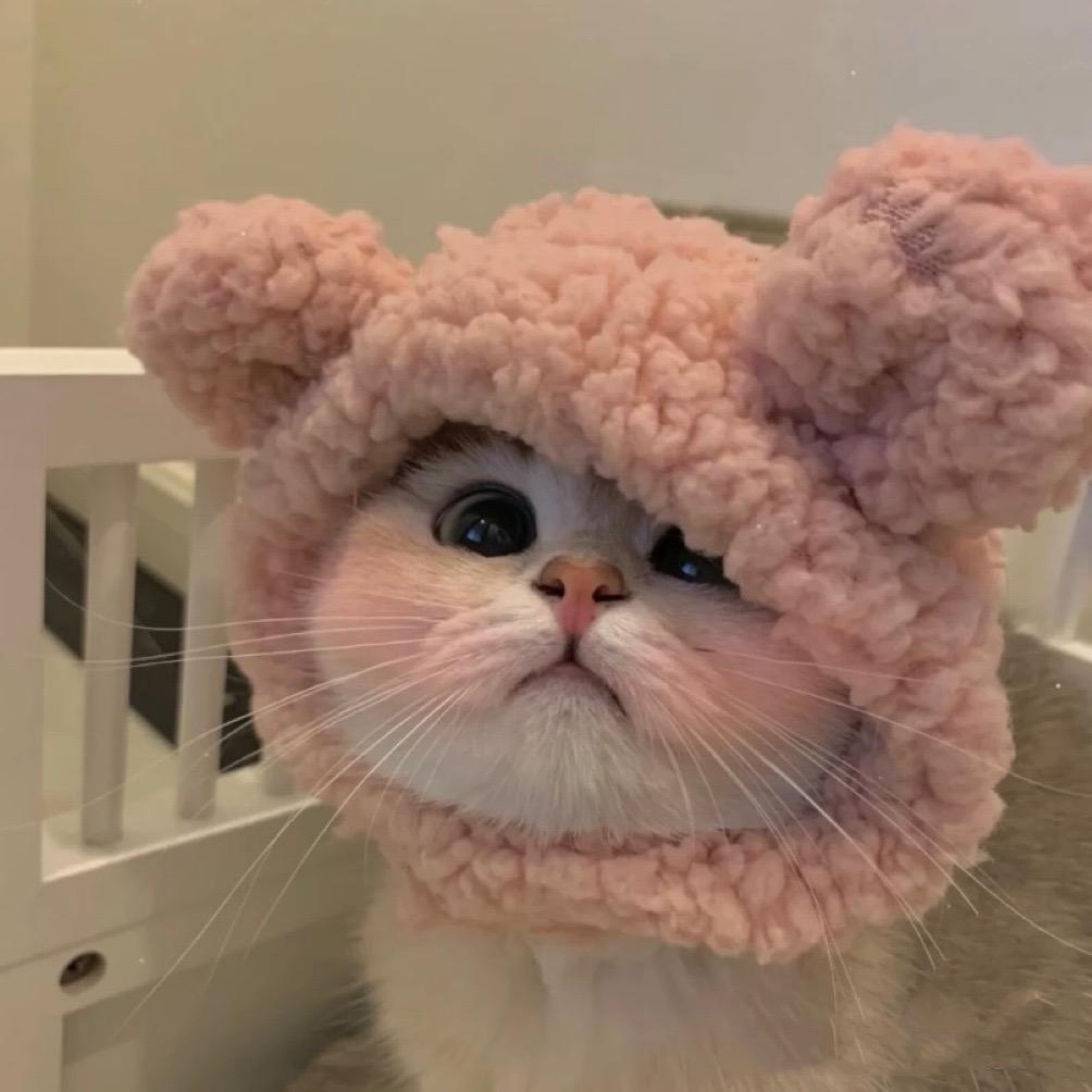 睦睦呀