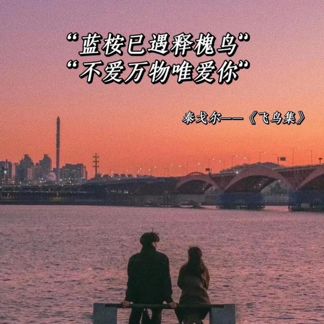 藍桉樹與釋槐鳥