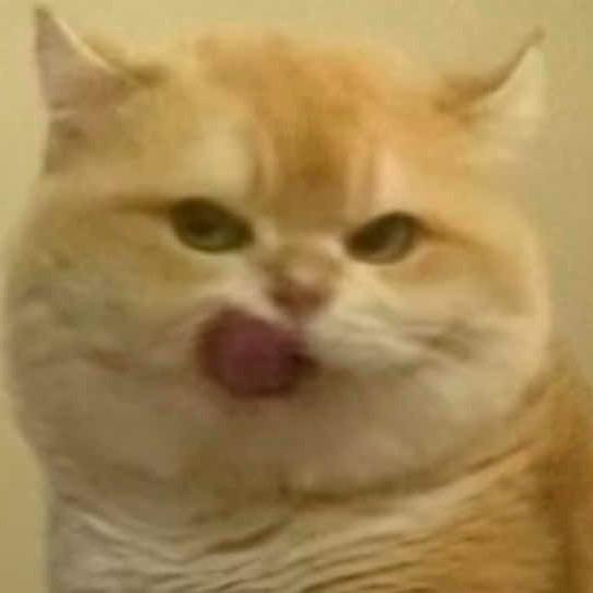 一嗷垚•