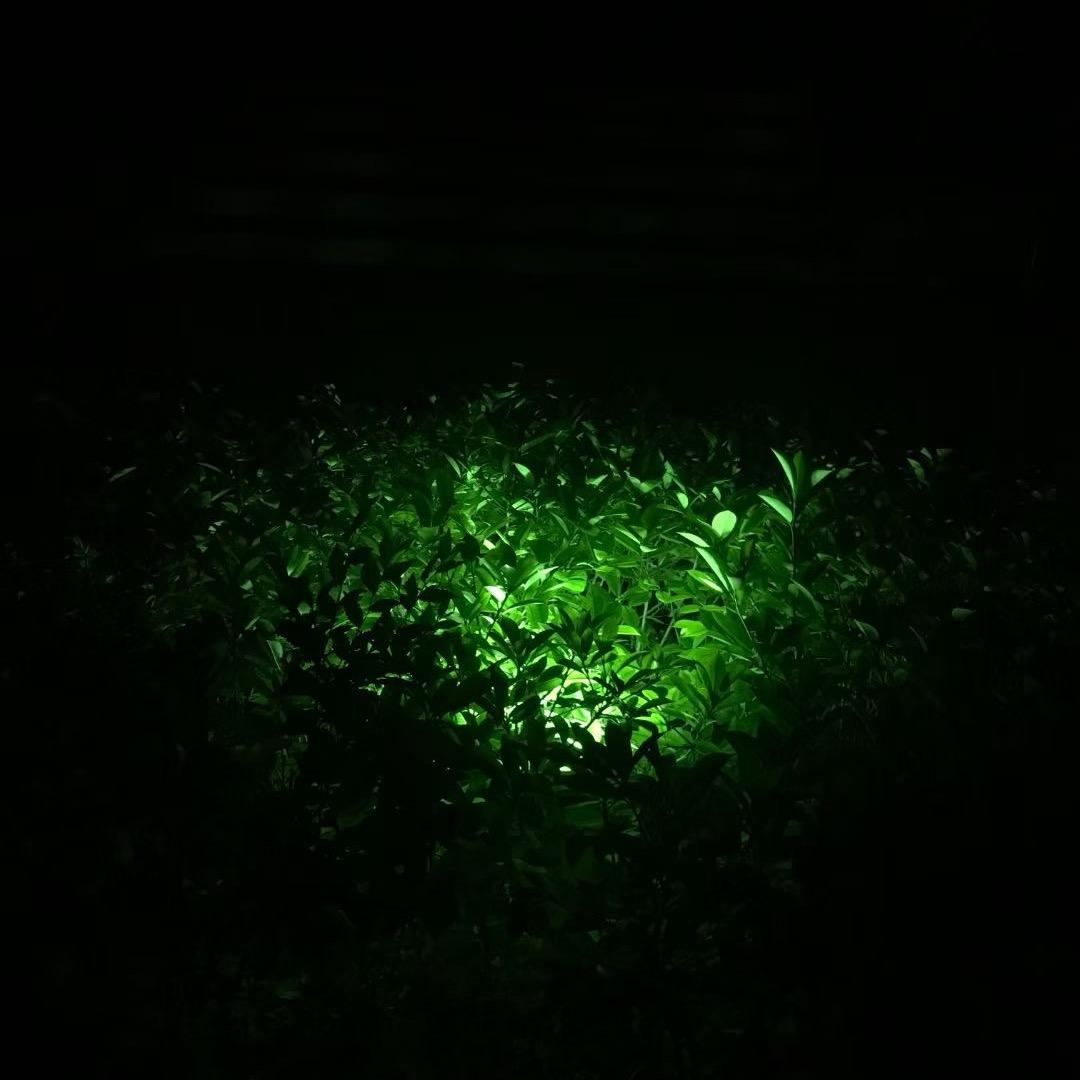 花间一壶酒