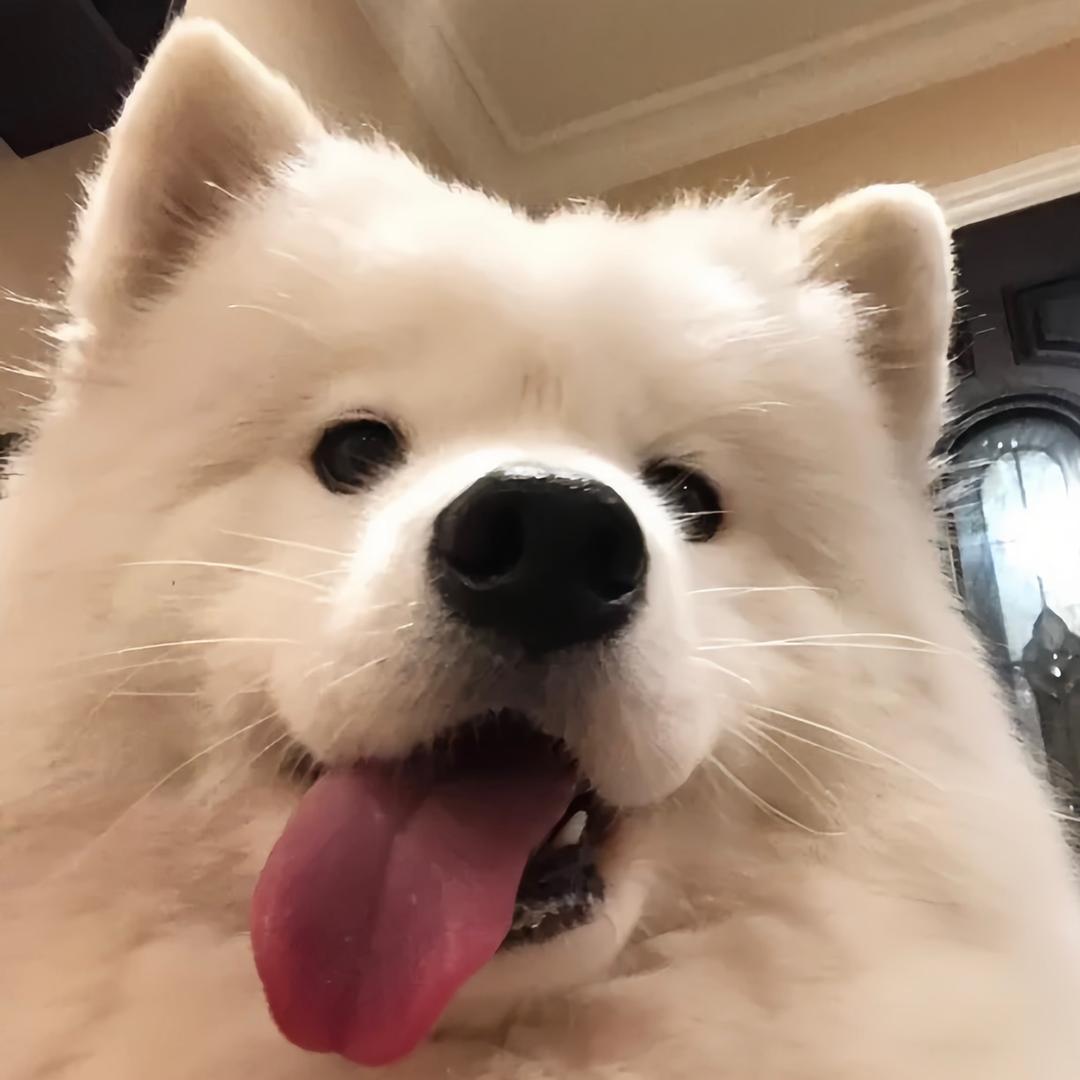 小烦一下