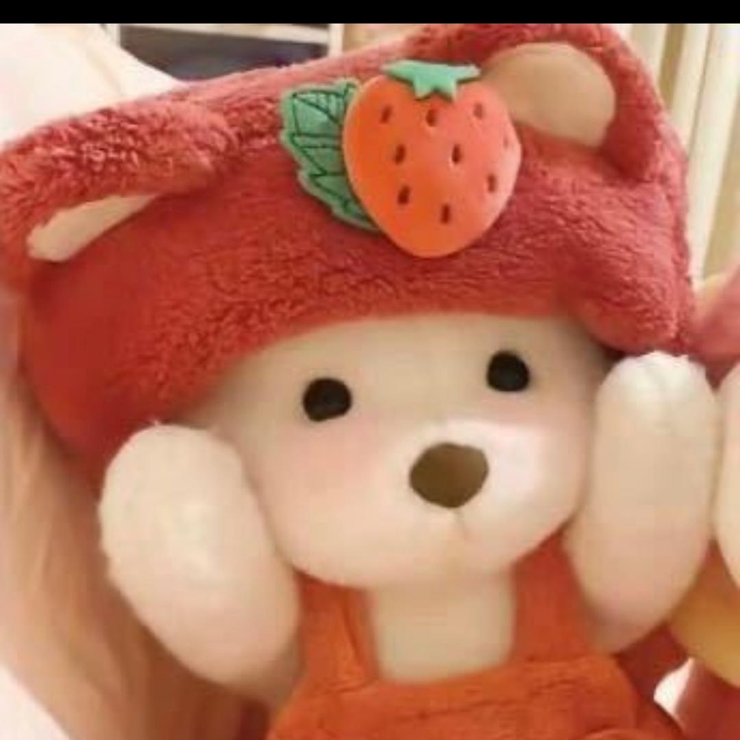 袁枫