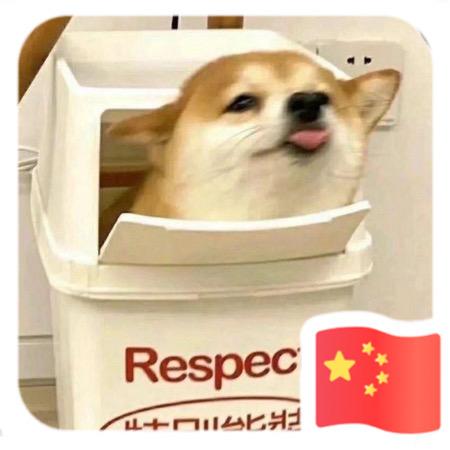 小陈不听话