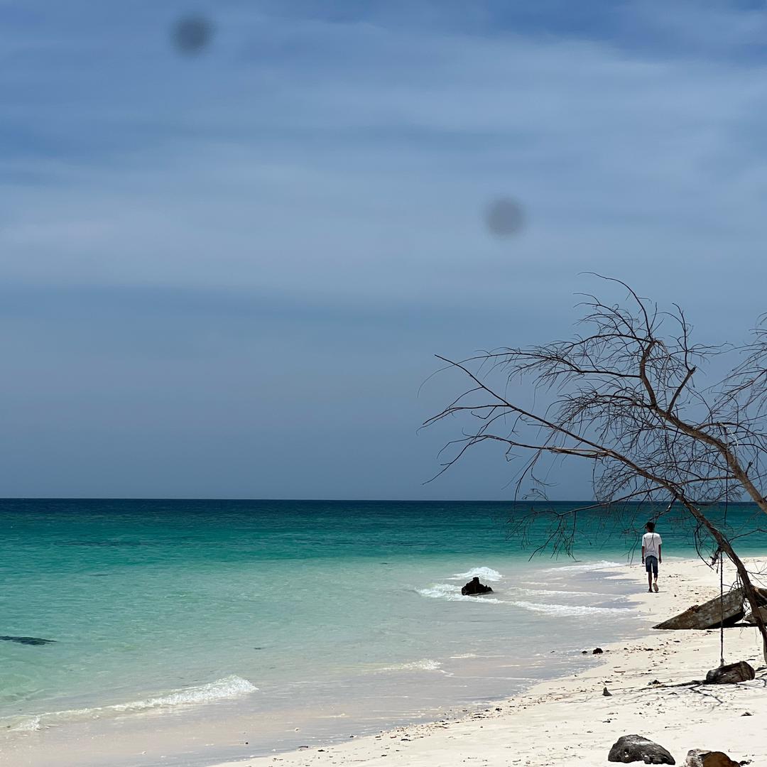 🏝️剪辑组管理（百货）🏝️