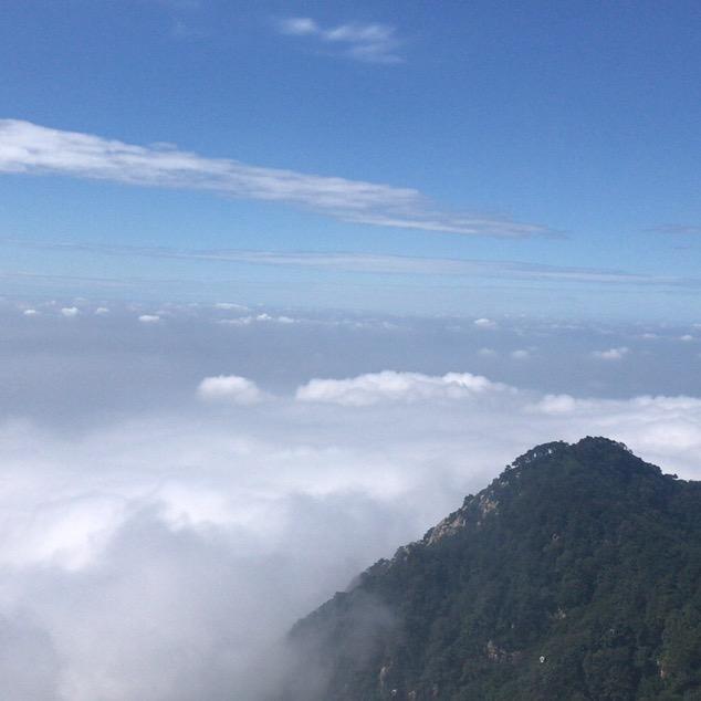 用户1023976682962阿杜