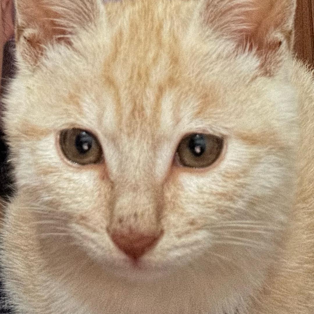 AAA.建材批发楠总（破产版）