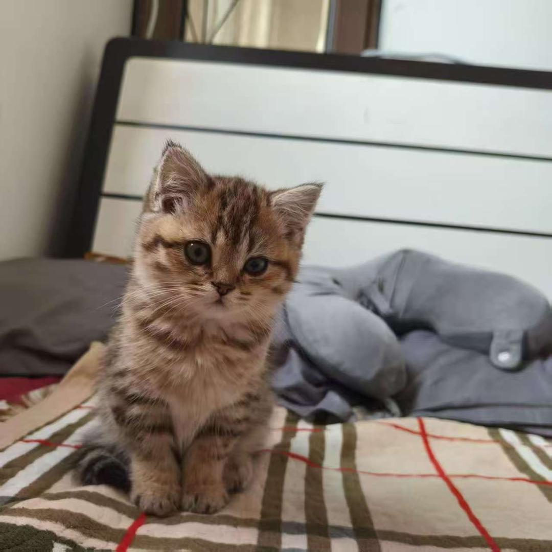 不进年级前五十不改名。