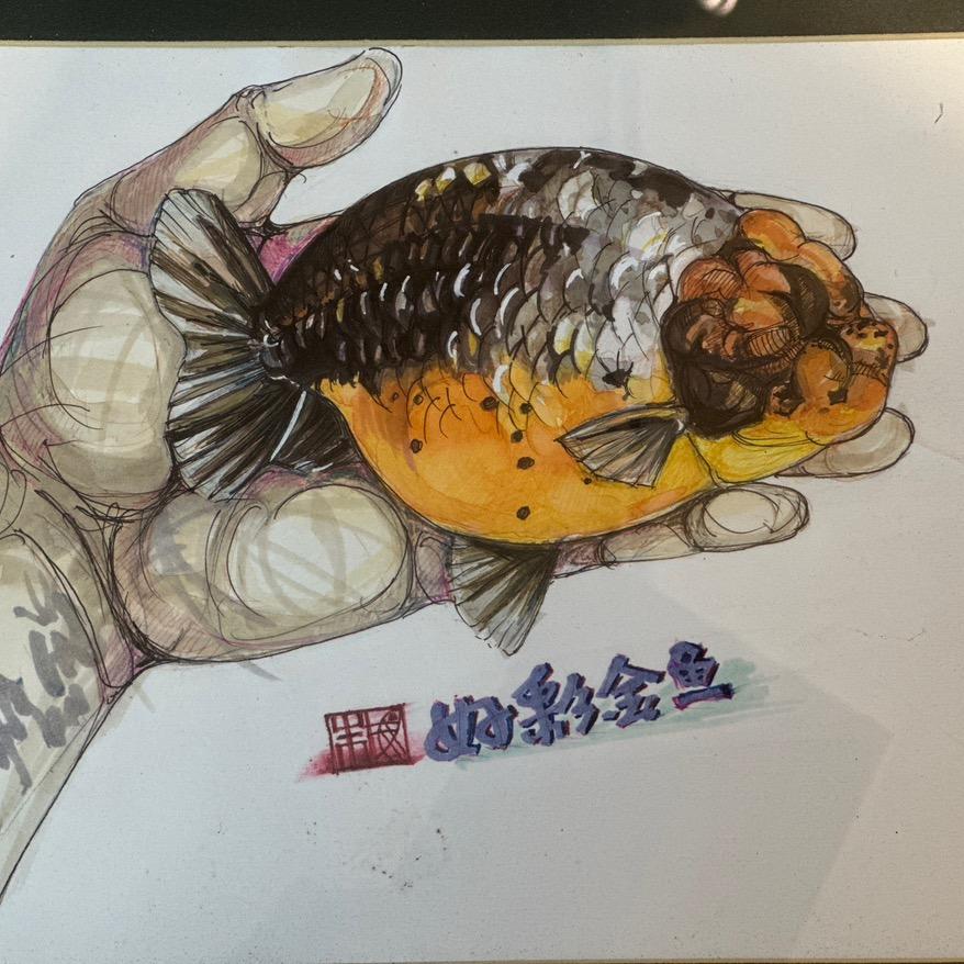 福州悠然金鱼场