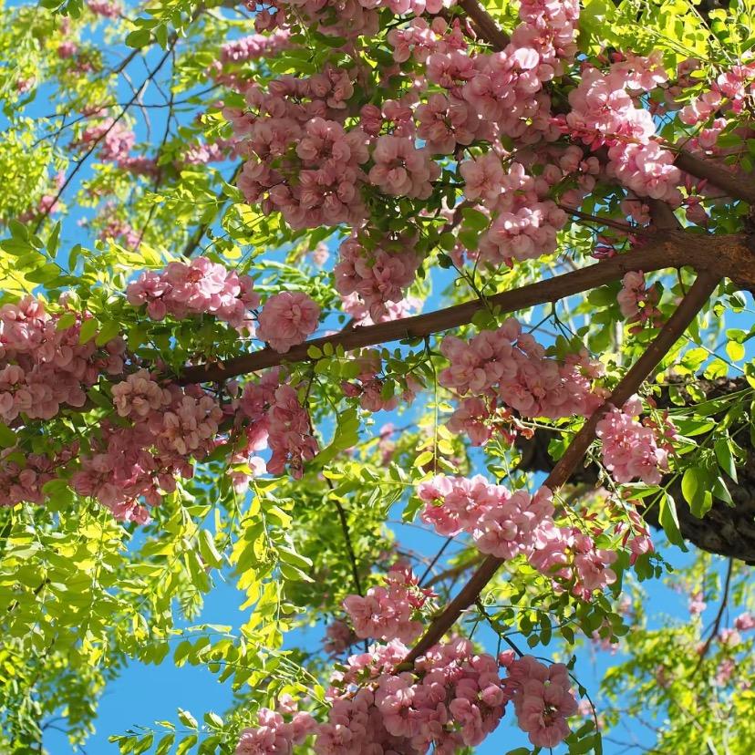 睿宝