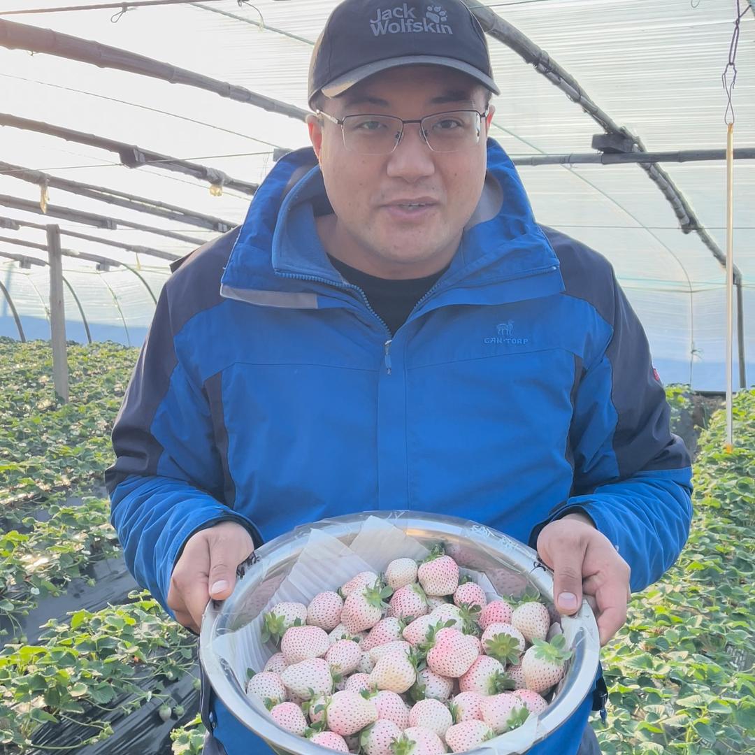 甄歆岚柠水果专卖店