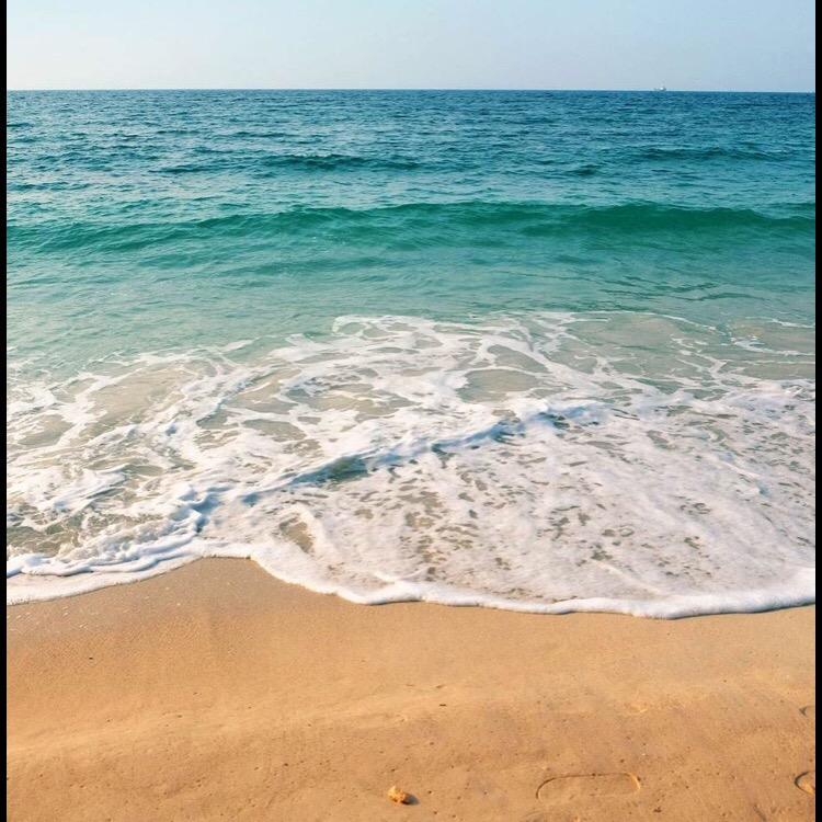东海纳古今