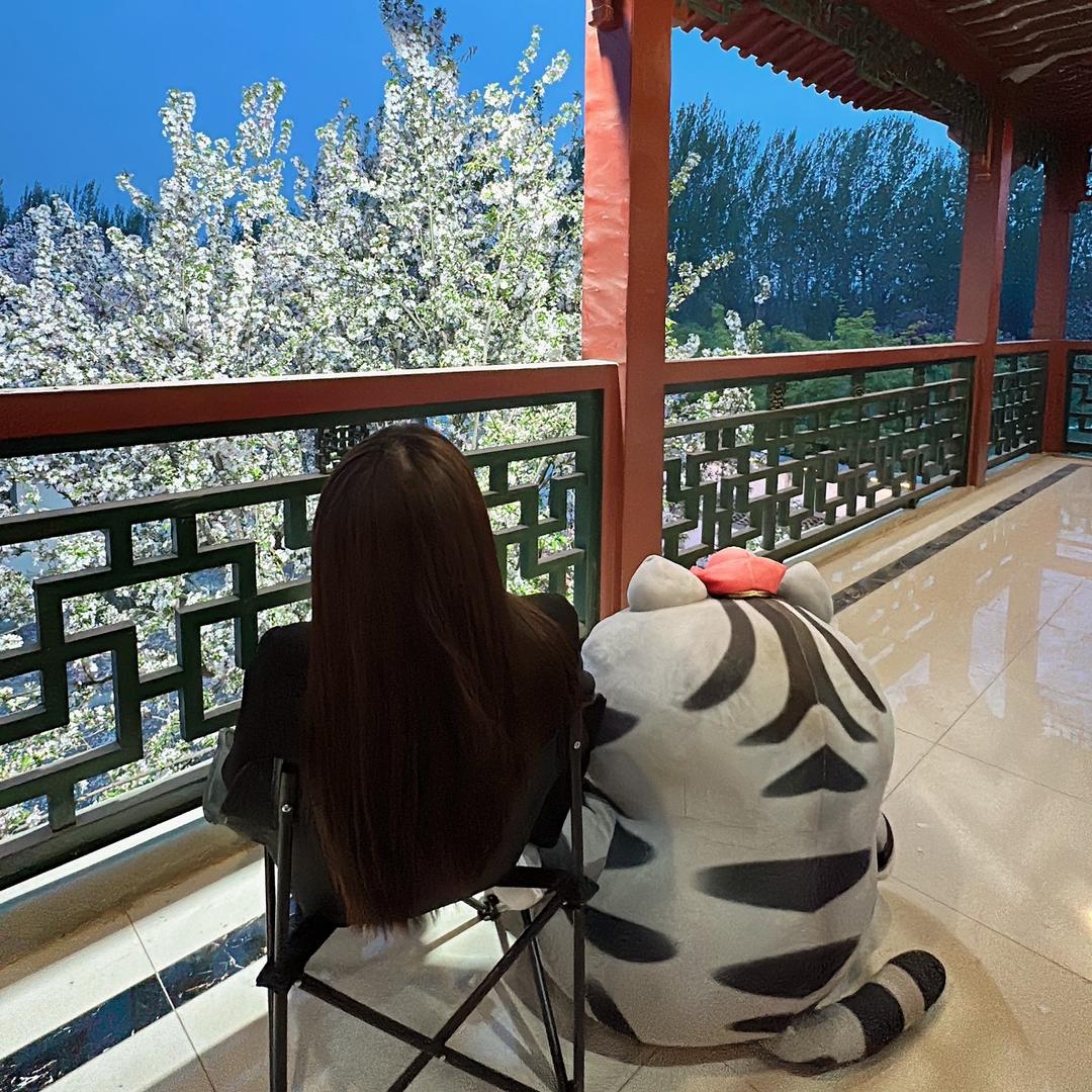 美少吕