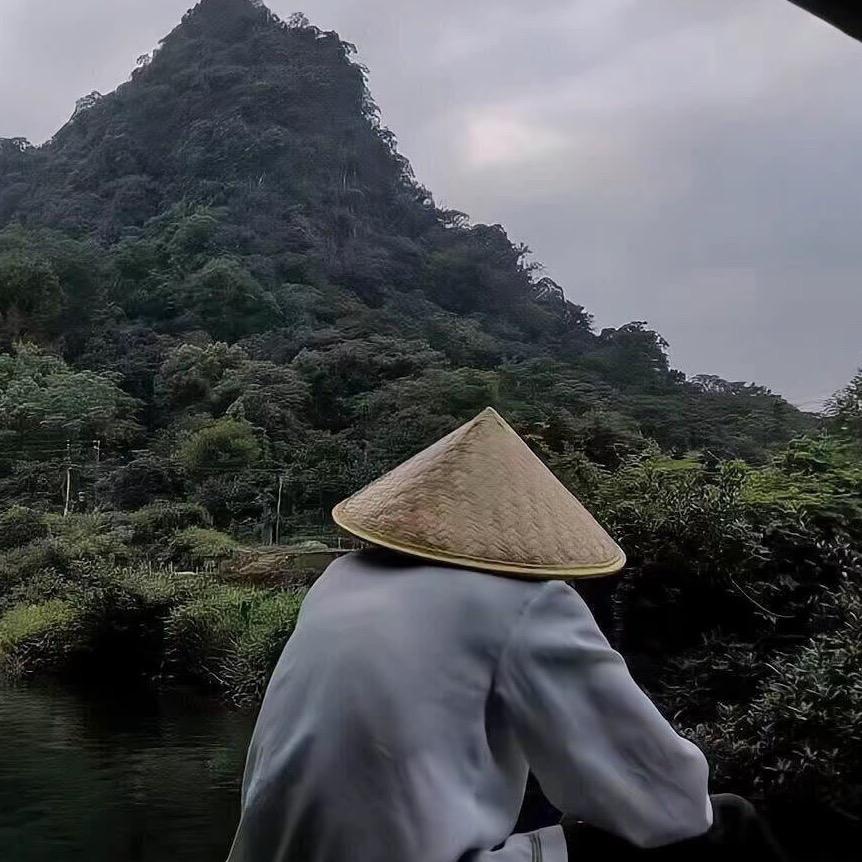 随风走