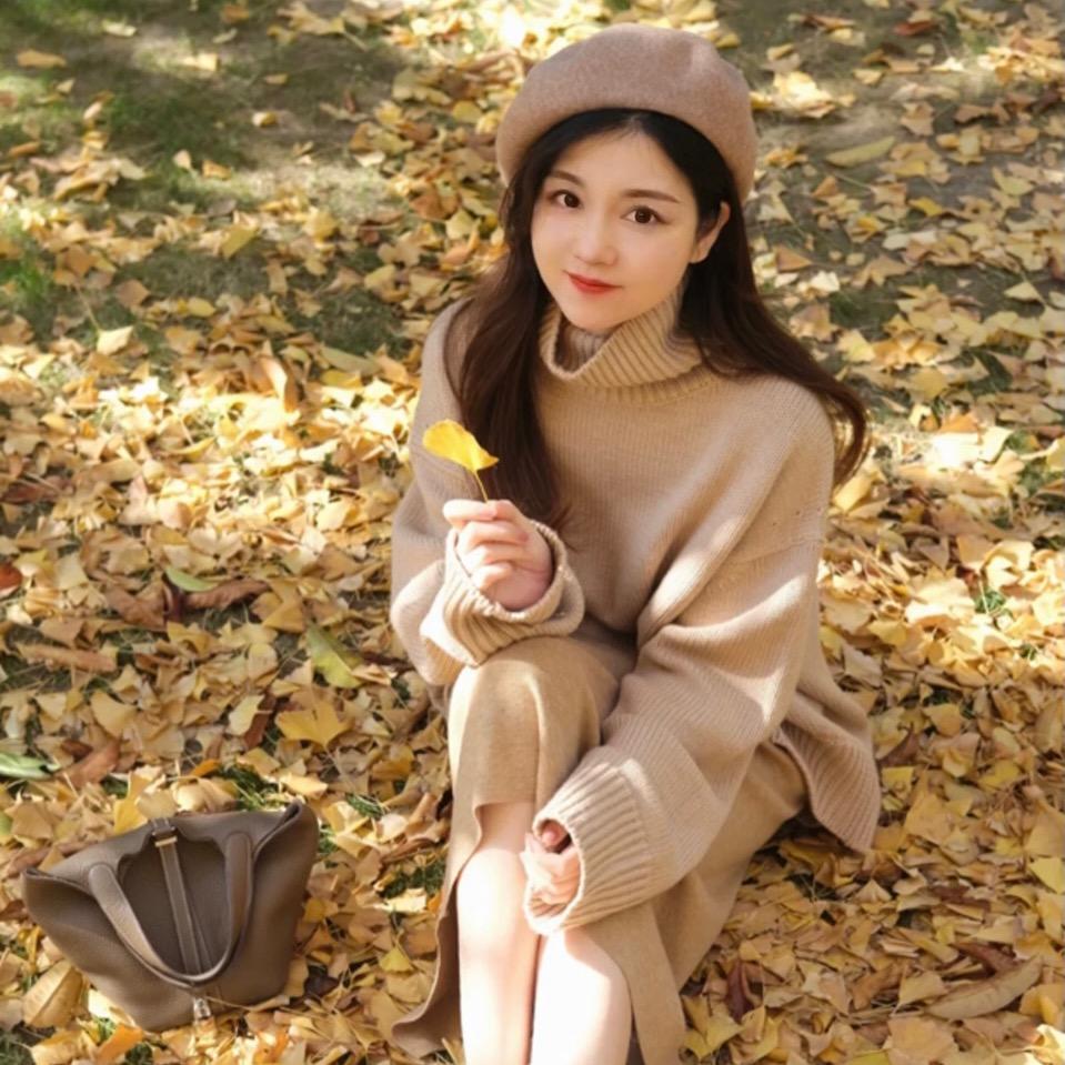 菲猫儿