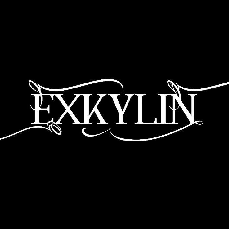 EX KYLIN意向麒麟线上商店