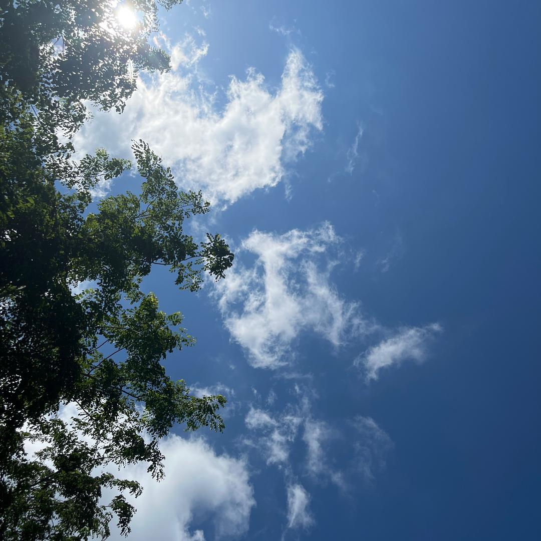☜雨天☞