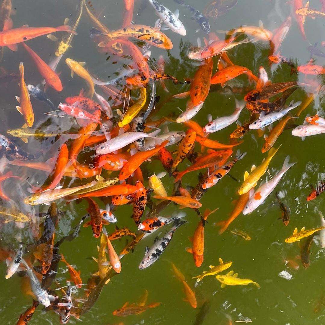 十三月末^