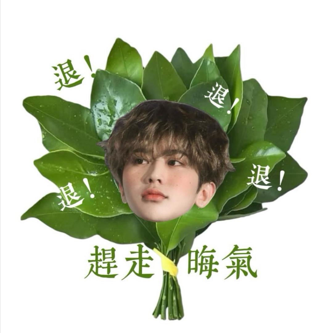 Xxxxx（接蔡徐坤巡演原价票）