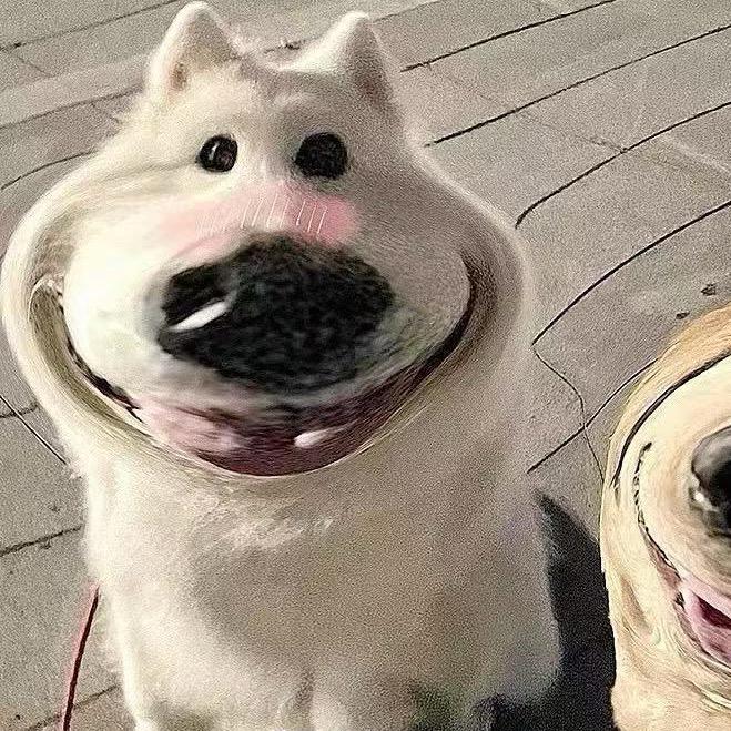 小玖.