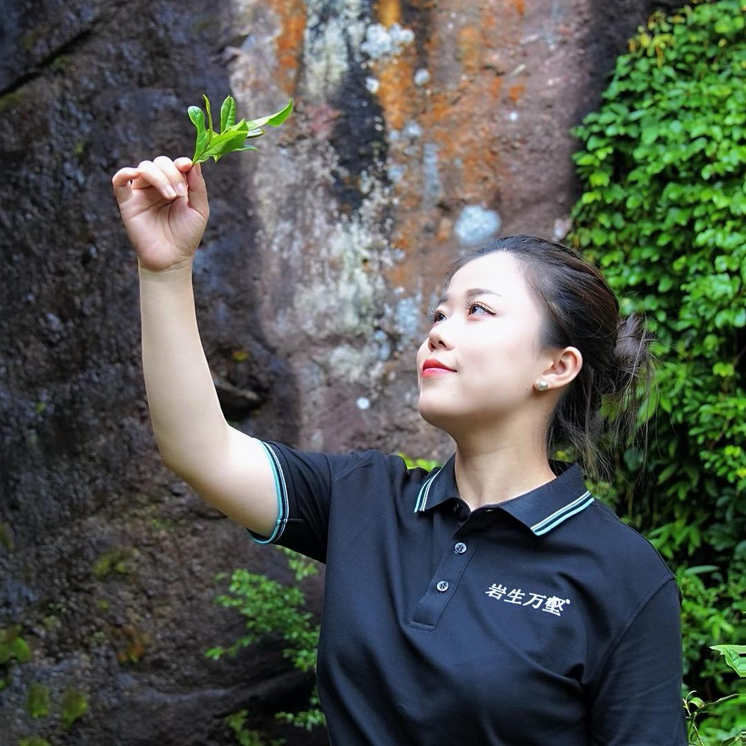 岩生万壑®三金