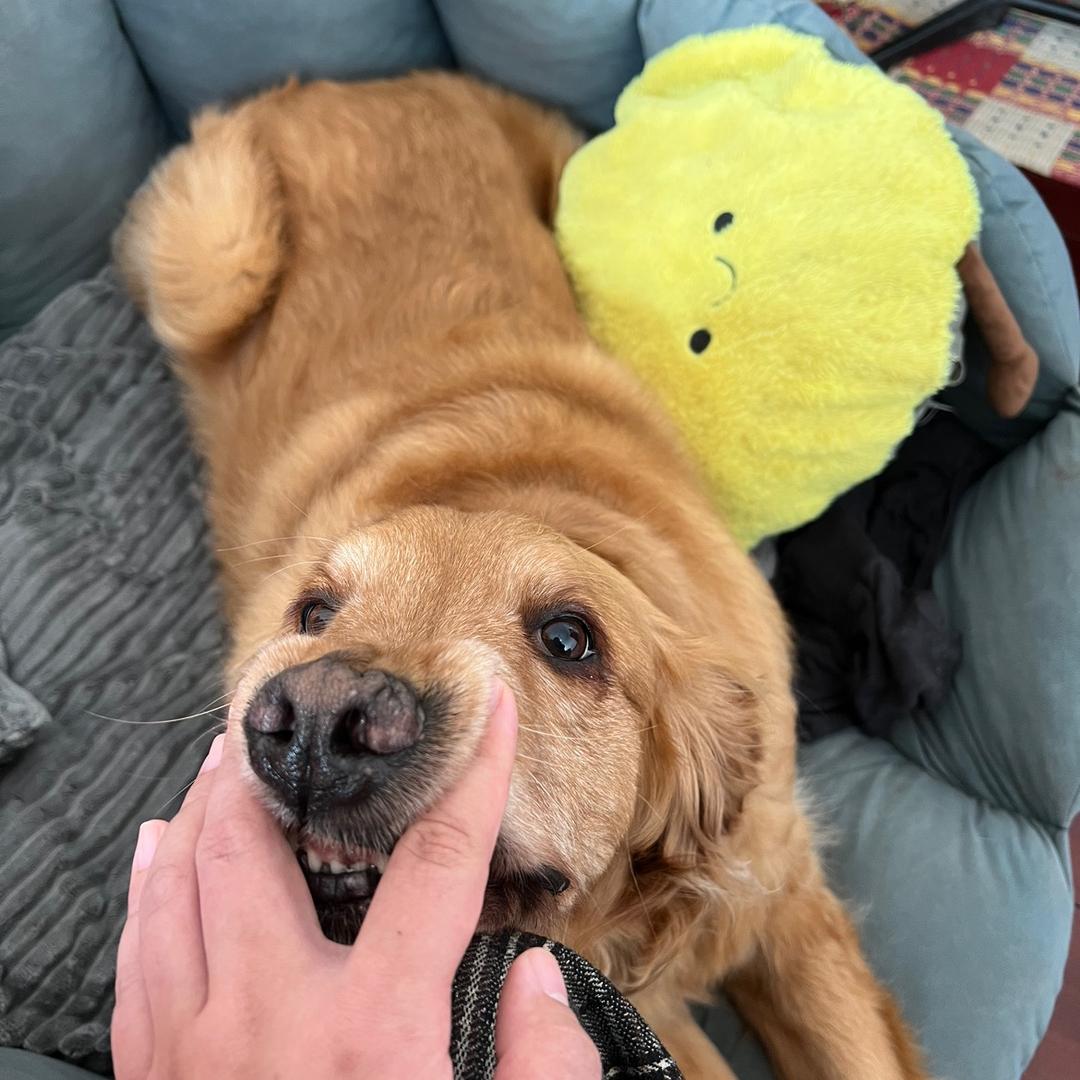 随风漂流的干饭王